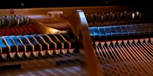 interior of a grand piano, harp, strings, dampers